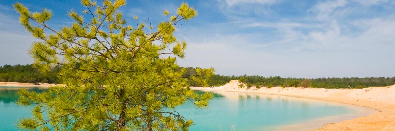 Country Inn by Carlson Millville