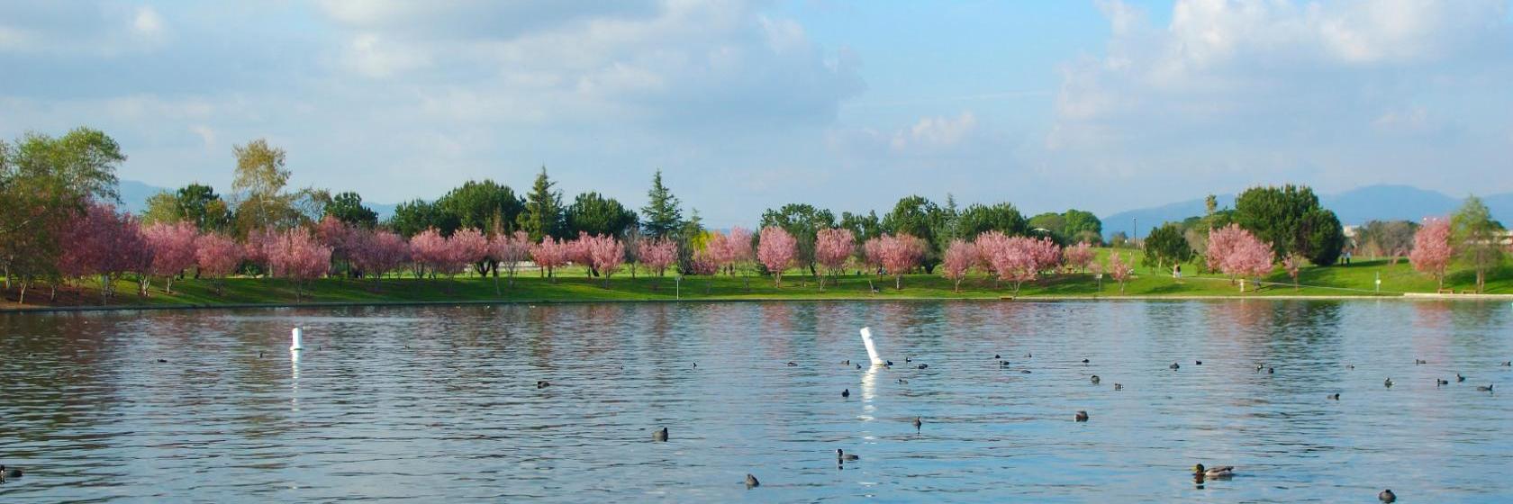 Hyland Motel Van Nuys
