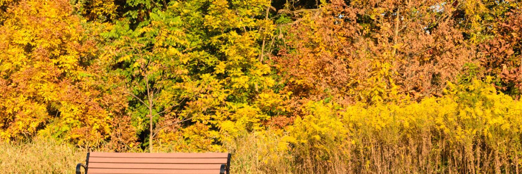 The best available hotels & places to stay near Vernon Hills, IL