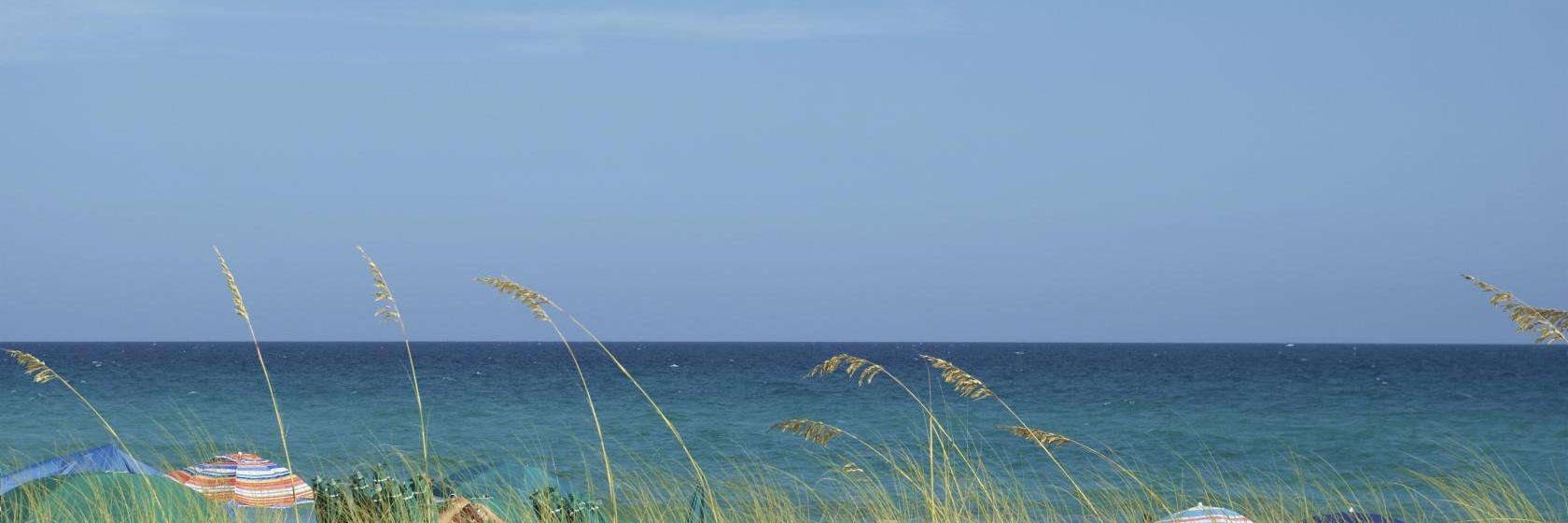 Stay Suites of America  Orange Park