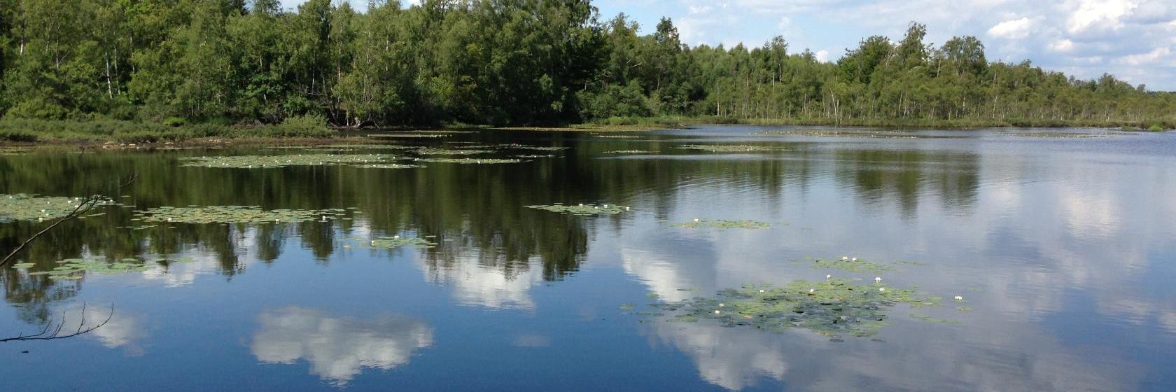 The best available hotels & places to stay near Perstorp, Sweden
