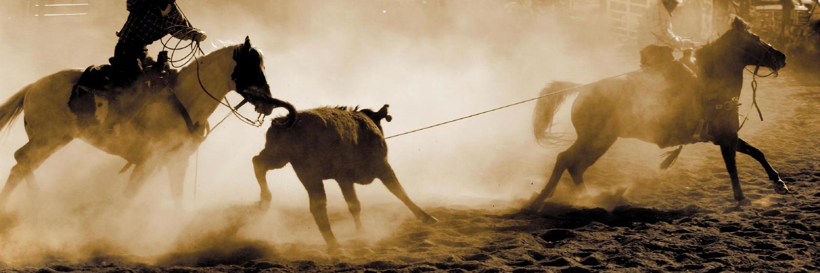 Holiday Inn Express HotelandSuites Falfurrias