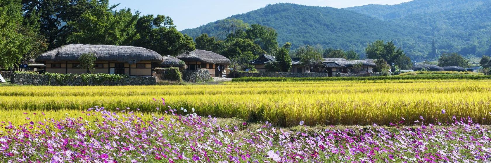 牙山市 韓国 の人気ホテル 3 109 牙山市 韓国 の人気ホテル 3 109
