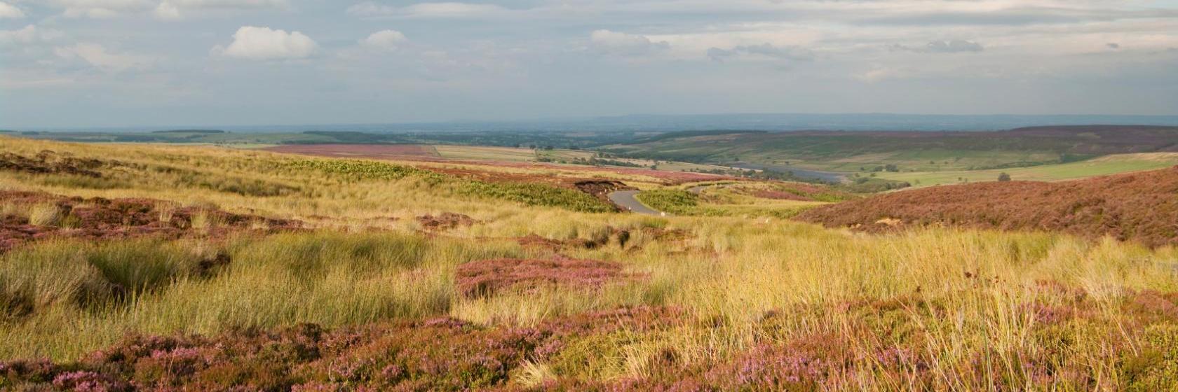 The best available hotels & places to stay near Great Broughton, United