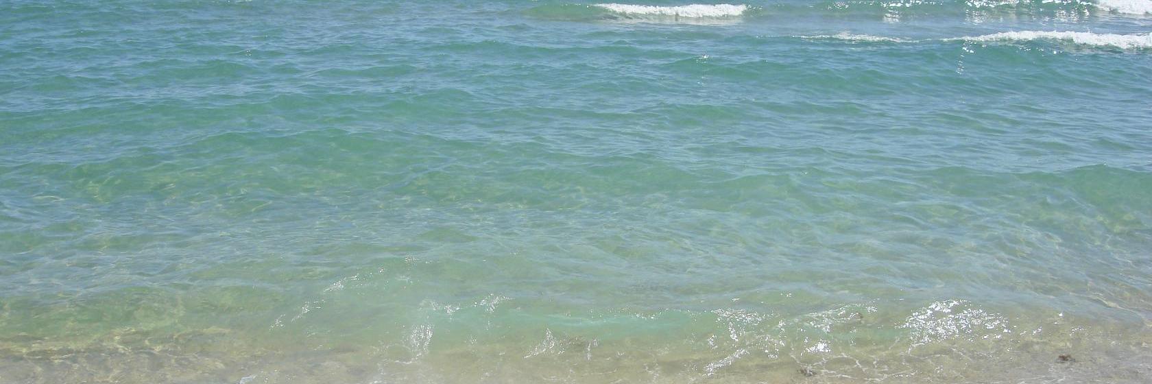 Red Roof Inn Clearwater  Tarpon Springs