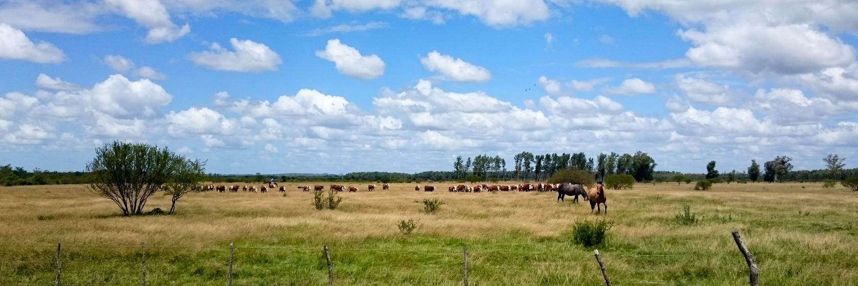 Los mejores hoteles de Melo, Uruguay (desde € 43)