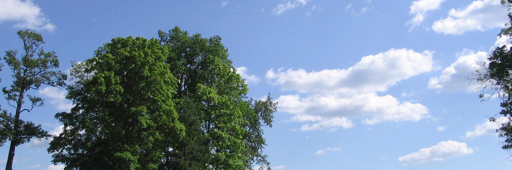 Die 10 besten Hotels in Otepää, Estland (Ab € 65)