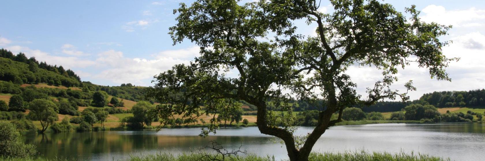 Die besten verfügbaren Hotels und Unterkünfte in der Nähe von