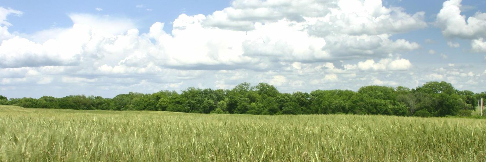 The best available hotels & places to stay near Thackerville, OK