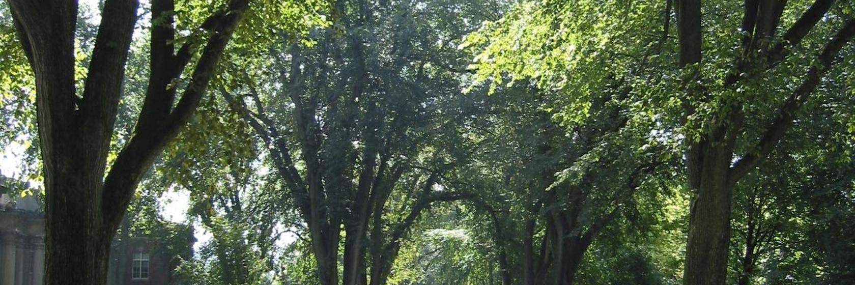 Super 8 Burnham Lewistown