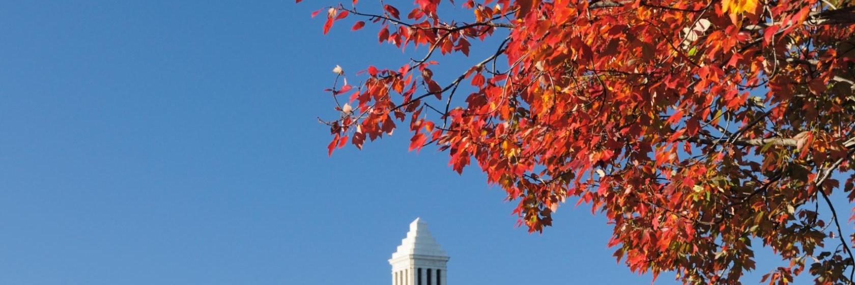 Econo Lodge Inn and Suites Tuscaloosa