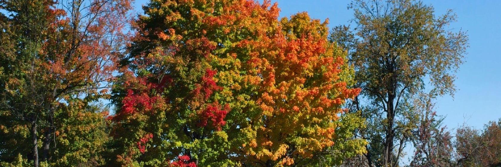 Embassy Suites Detroit  Southfield
