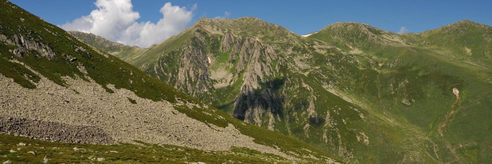 Yosemite 41 South Mansion