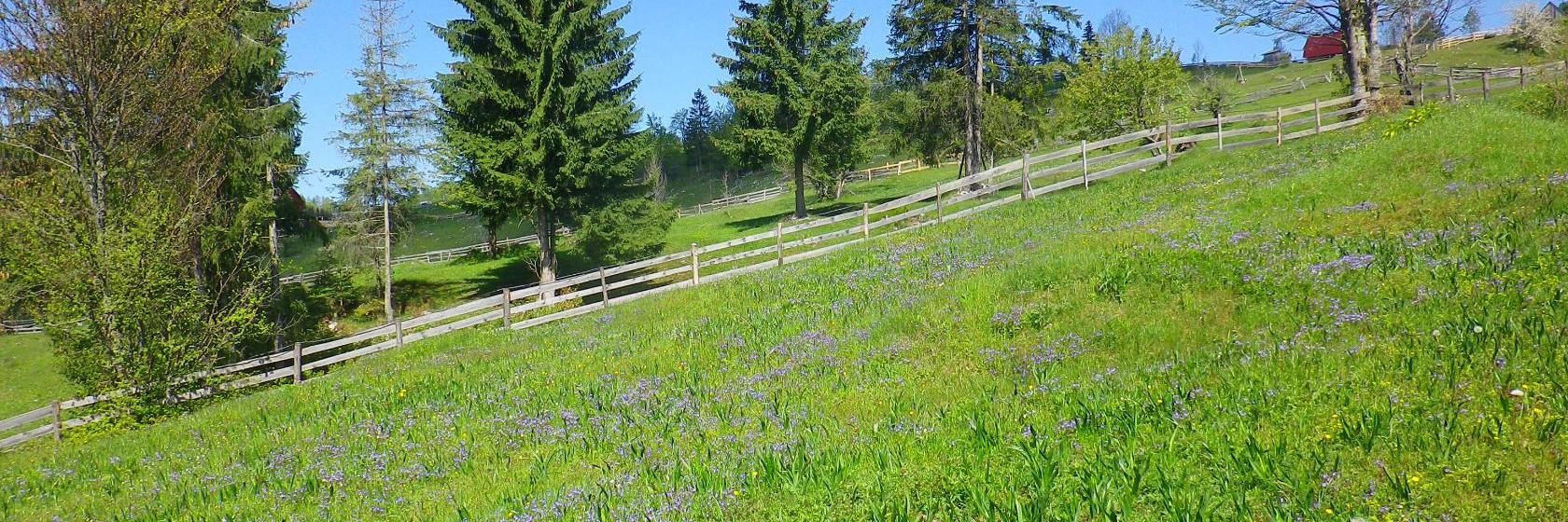 The 10 best hotels & places to stay in Gîrda de Sus, Romania Gîrda de