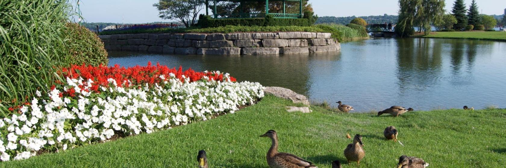 10 Best Barrie Hotels, Canada (From 60)