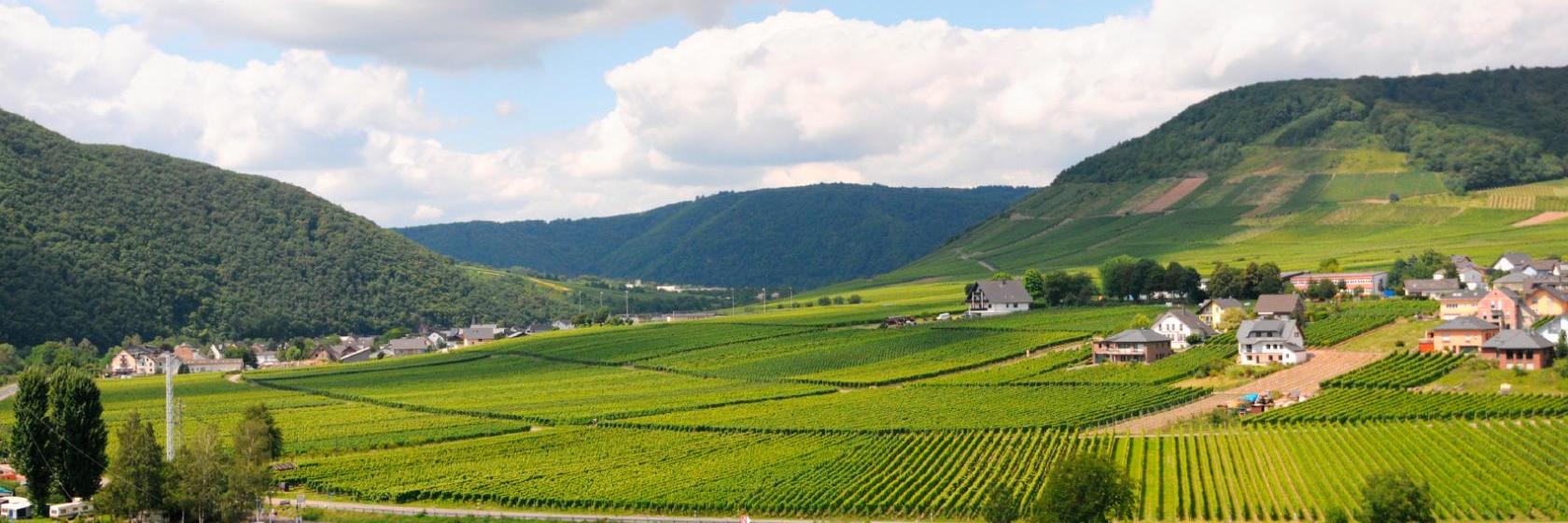 Die besten verfügbaren Hotels und Unterkünfte in der Nähe von Heidenau