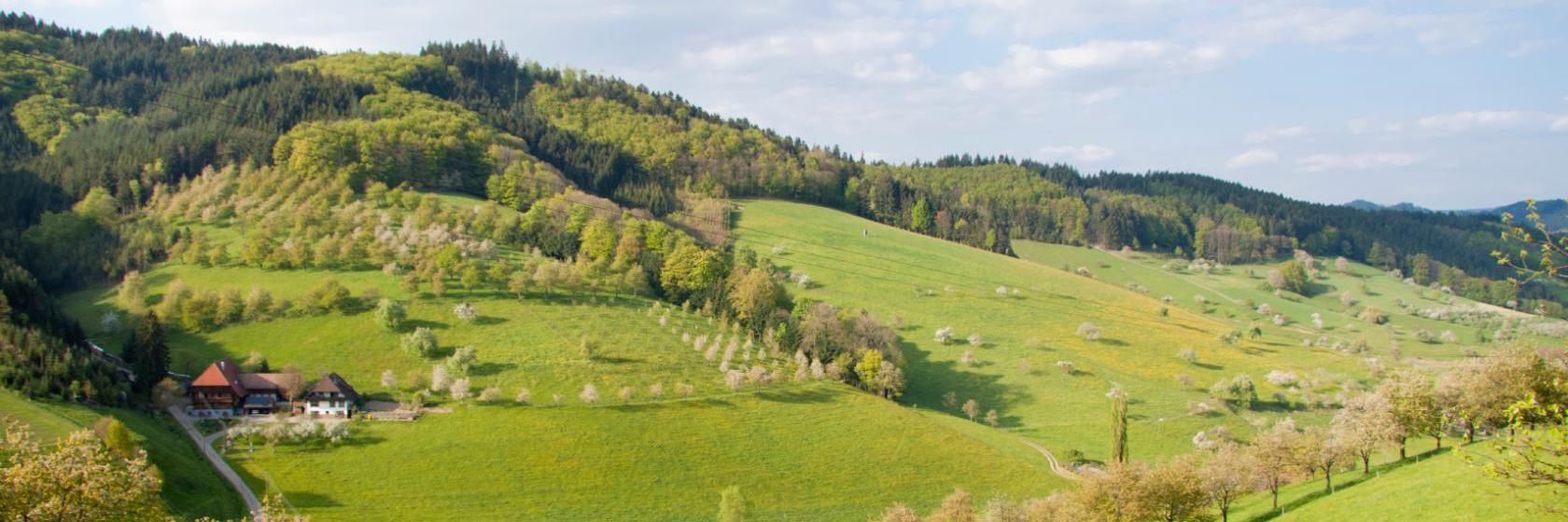 Die 10 besten Hotels in Heiligenberg (Ab € 65)