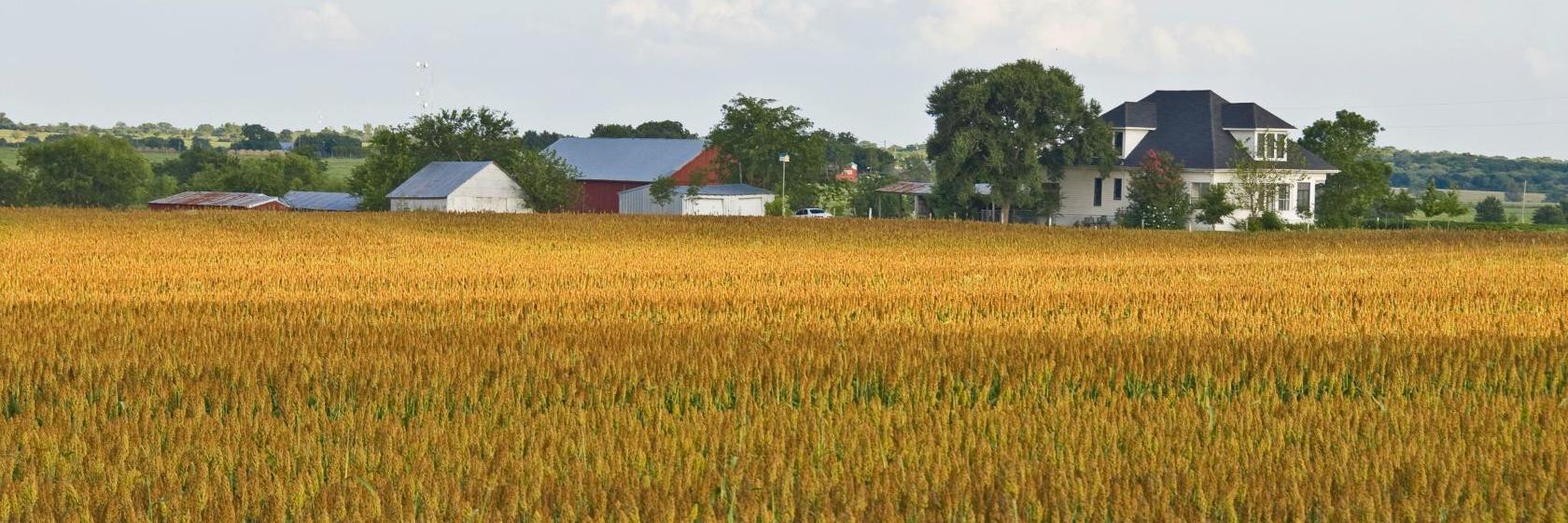 Americas Best Inn and Suites York