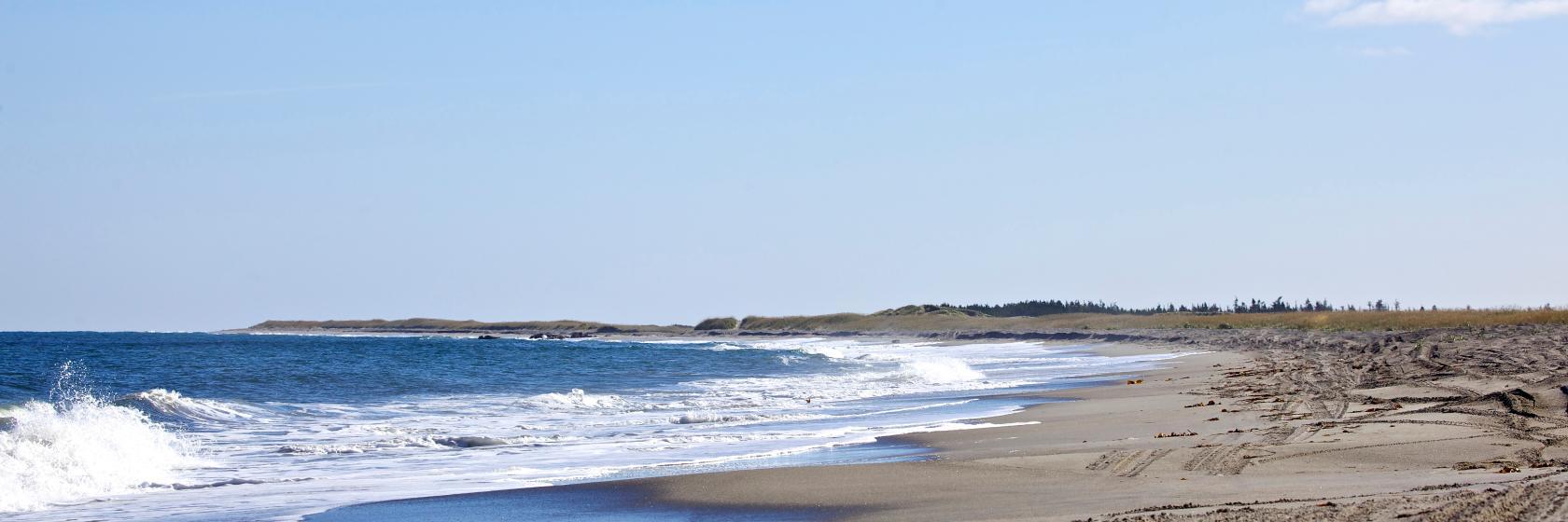 The best available hotels & places to stay near Musgrave Harbour, Canada