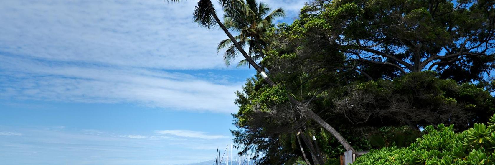 Aina Nalu Lahaina by Outrigger