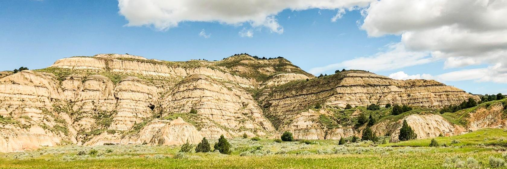 The Vegas Motel  Minot