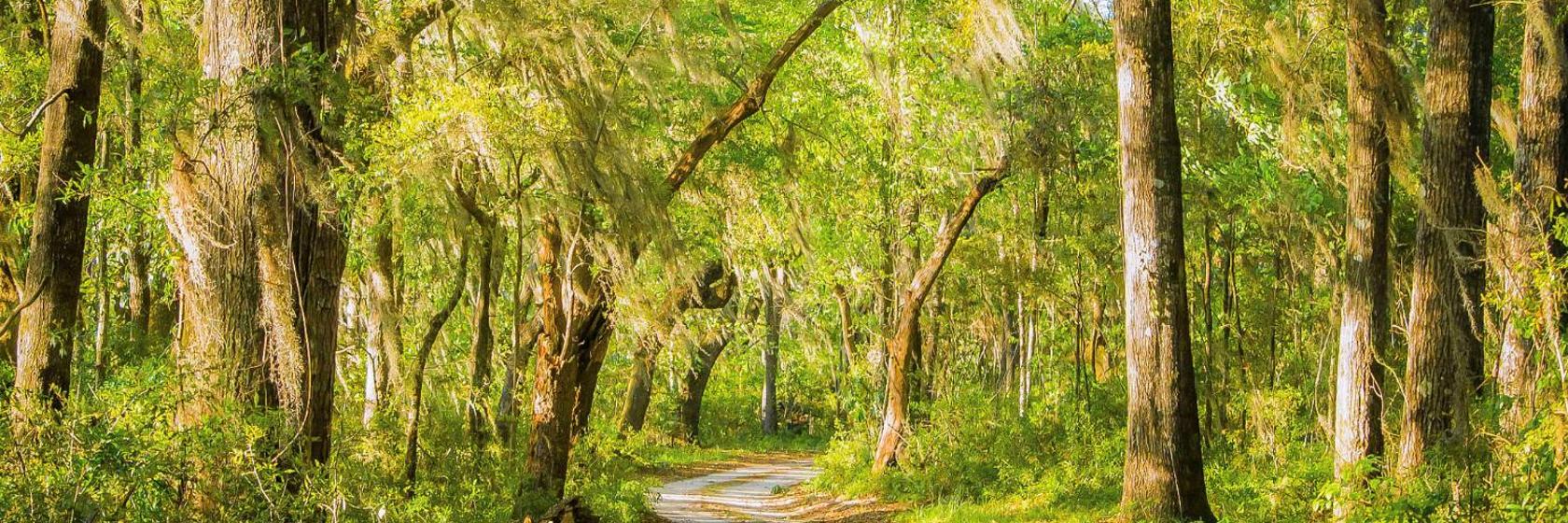 Ramada Inn  Walterboro