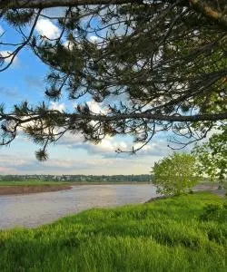 A beautiful view of Riverview