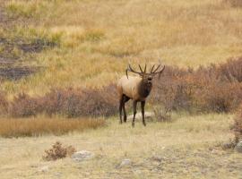 Elk City