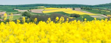 Hoteller med parkeringsplass i Angelbachtal