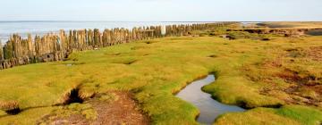 Hotels mit Parkplatz in Westernieland