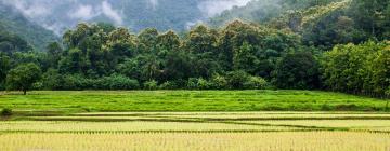 Cottages in Ban Mae Tao Hai