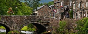 Hotels que accepten animals a Beddgelert