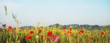 Hoteles con parking en Le Puy-Notre-Dame