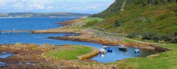 Pet-Friendly Hotels in Millport