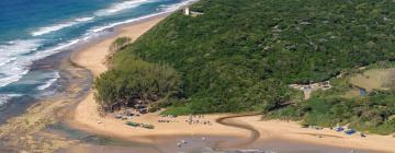 Pet-Friendly Hotels in Sodwana Bay