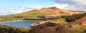 Cottages in Saddleworth