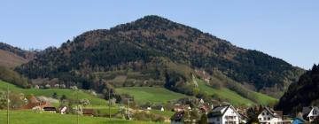 Apartments in Glottertal