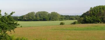 Cottages in Sidlesham