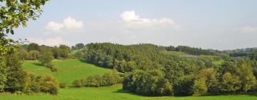 Ferieboliger i Langlir