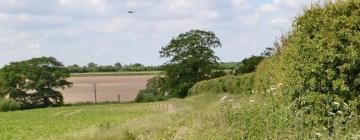 Cottages in Loddon