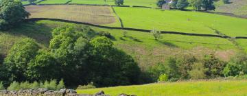 Cottages in Flash