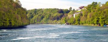 Hotelek Stein am Rheinben