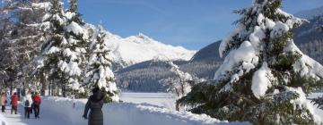 Ośrodki narciarskie w mieście Sankt Moritz-Bad