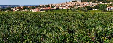 Vacation Rentals in Châteauneuf