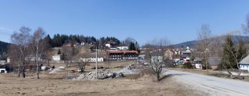 Parkolóval rendelkező hotelek Horní Vltavicében