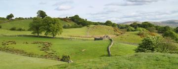 Cottages in Capel Garmon