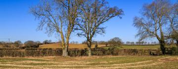 Hotels mit Parkplatz in Ringmer