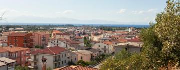 Pet-Friendly Hotels in Mirto