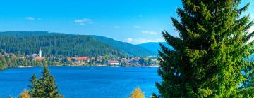 Apartments in Titisee-Neustadt