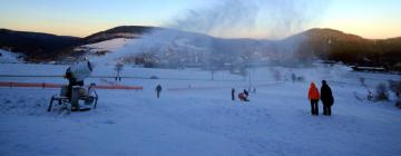 Hoteller i Willingen